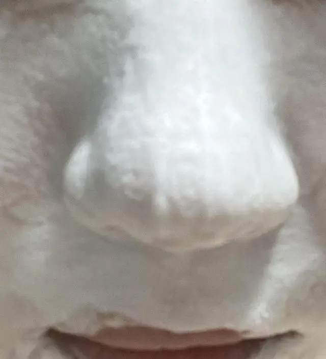 정말 지금까지 사용했던 것 중에 가장 깨끗하게 씻기는 기분이 들었고, 젤 맘에 들었던