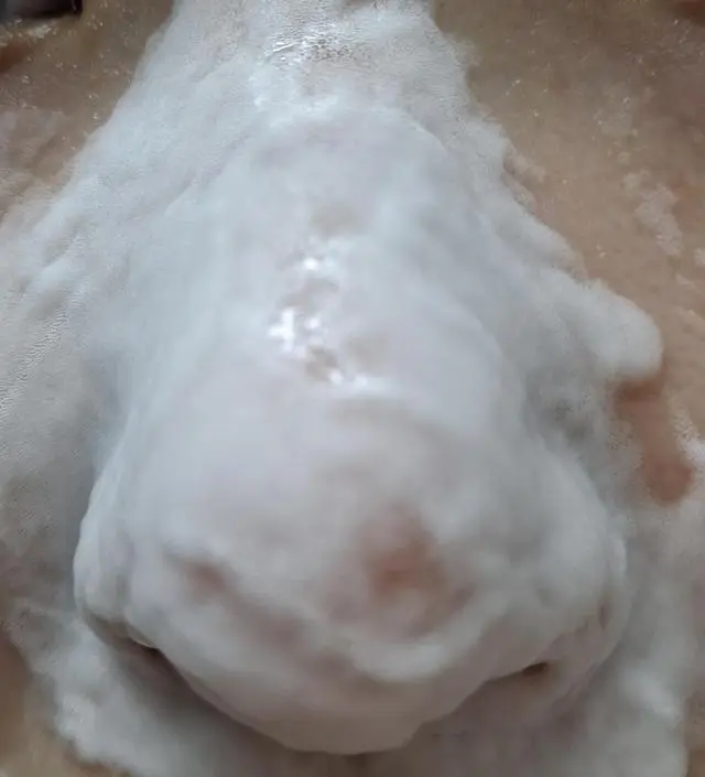 15일 챌린지 완료하고 작성하는 후기입니다!
