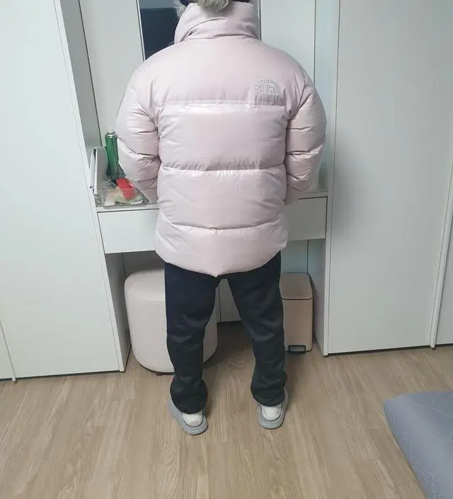 【THE NORTH FACE】 W'S NOVELTY NUPTSE DOWN A-FIT★大人気★ org.jpg
