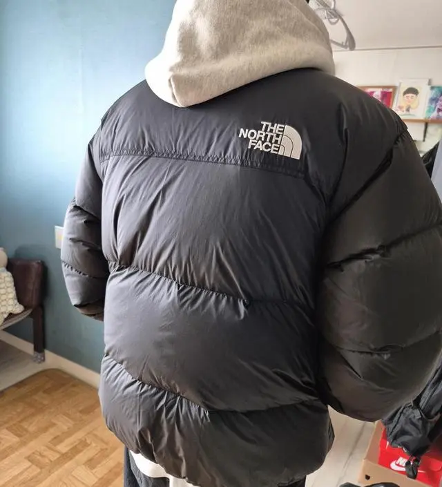 [THE NORTH FACE]★韓国大人気★M'S 1996 ECO NUPTSE JACKET THE NORTH FACE] ☆ W'S 1996 ECO NUPTSE JACKET ☆ (THE NORTH