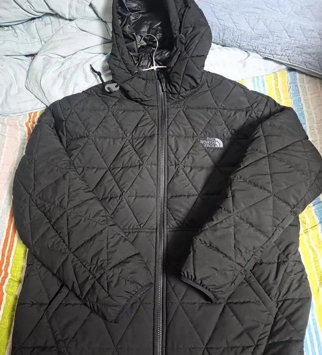 ★THE NORTH FACE★M'S GEODOME V HOODIE★ M'S GEODOME V HOODIE - 노스페이스