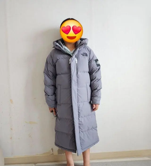 ★THE NORTH FACE★送料込★ACTION FREE RDS DOWN COAT NC1DQ50 ACTION FREE RDS DOWN COAT - 노스페이스