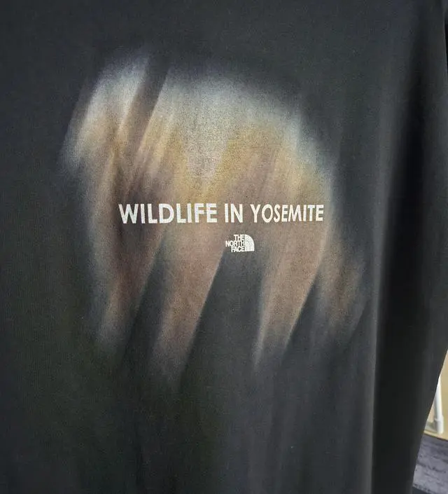 【THE NORTH FACE】BEAR SPRAY S/S R/TEE★送料・関税込 楽天市場】【正規品】☆2025年新商品☆THE NORTH FACE BEAR
